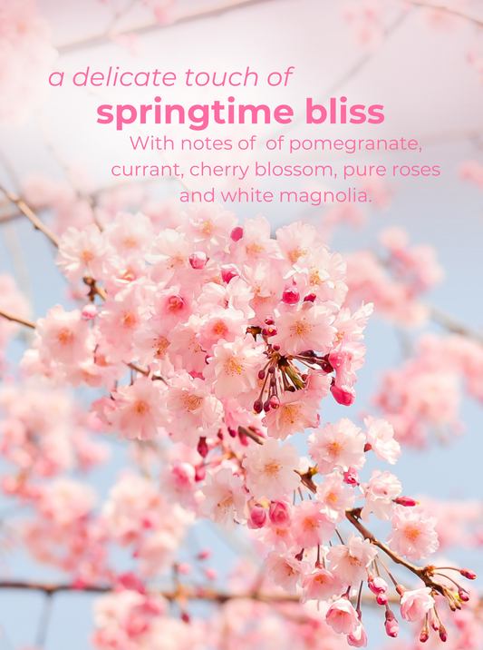 Cherry Blossom Whipped Soap