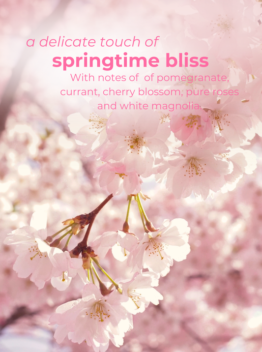 Cherry Blossom Body Butter