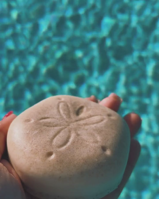 Sand Dollar Soap Bar